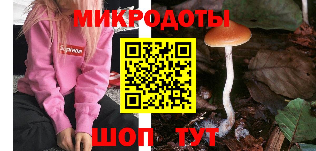 Галлюциногенные грибы Cubensis  Вход с VPN  Курчалой  Галлюциногенные грибы прущие грибы 