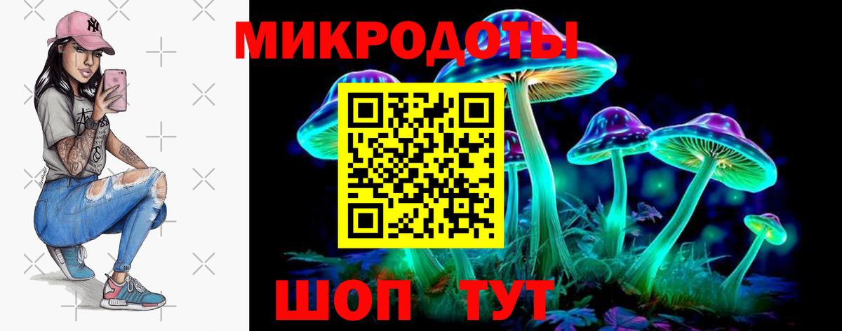Галлюциногенные грибы Magic Shrooms Курчалой